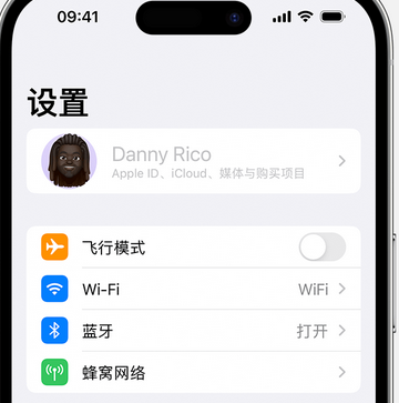 泗水appleID维修服务iPhone设置中Apple ID显示为灰色无法使用