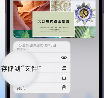 泗水apple维修中心分享iPhone文件应用中存储和找到下载文件