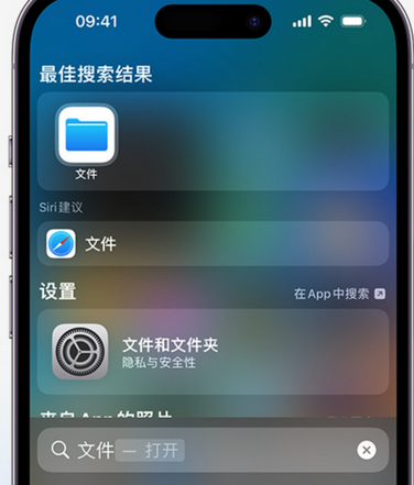 泗水apple维修中心分享iPhone文件应用中存储和找到下载文件