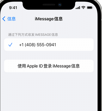 泗水apple维修iPhone上无法正常发送iMessage信息 