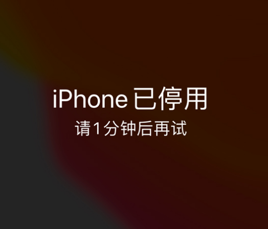 泗水苹果手机维修分享:iPhone 显示“不可用”或“已停用”怎么办？还能保留数据吗？ 