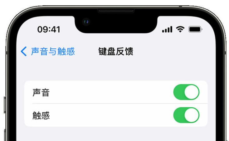 泗水苹果手机维修分享iPhone 14触感键盘使用方法 