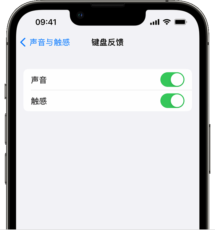 泗水苹果14维修店分享如何在 iPhone 14 机型中使用触感键盘 