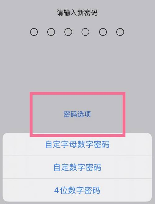 泗水苹果14维修分享iPhone 14plus设置密码的方法 