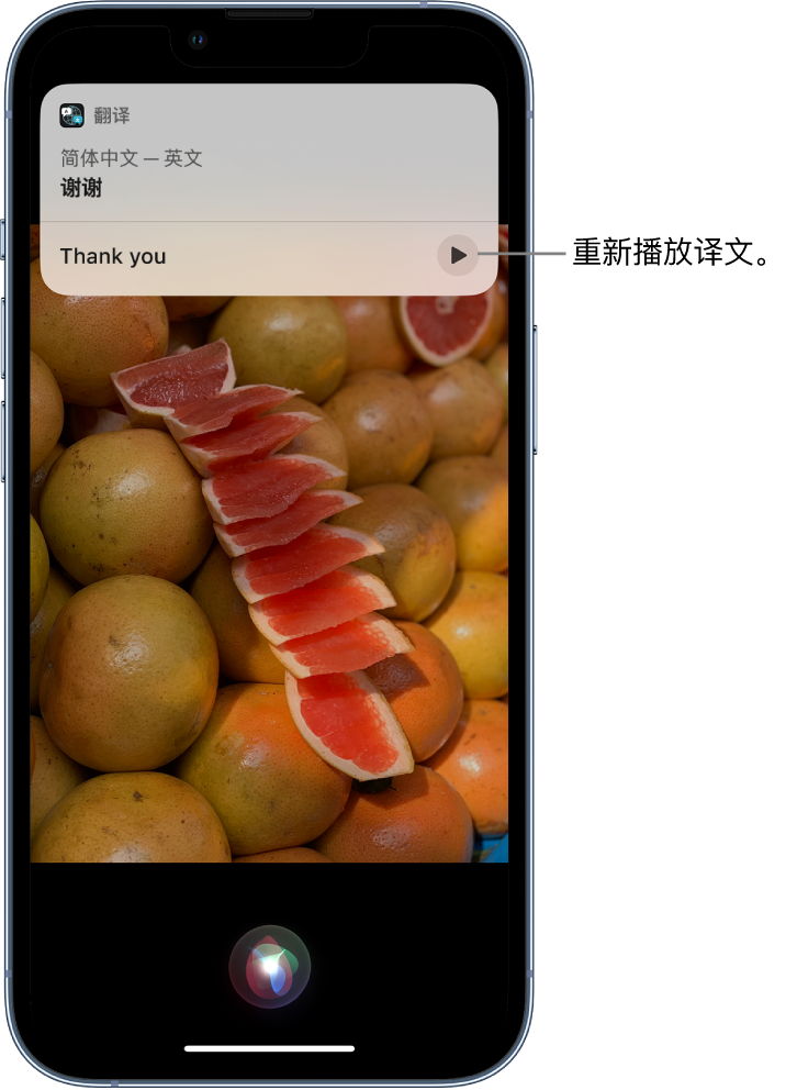 泗水苹果14维修分享 iPhone 14 机型中使用 Siri：了解 Siri 能帮你做什么 