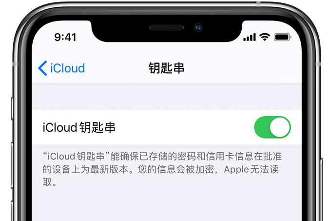 泗水苹果手机维修分享在 iPhone 上开启 iCloud 钥匙串之后会储存哪些信息 